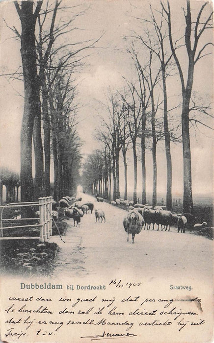 Dubbeldam Bij Dordrecht Straatweg