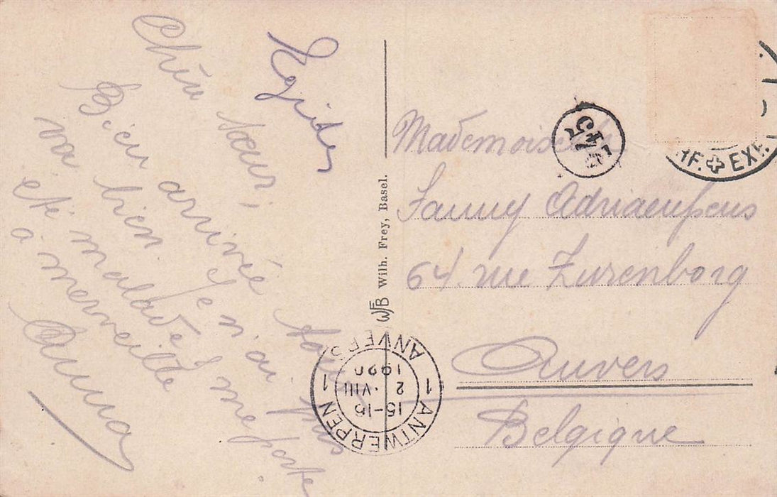 Basel Munster Mit Pfalz.