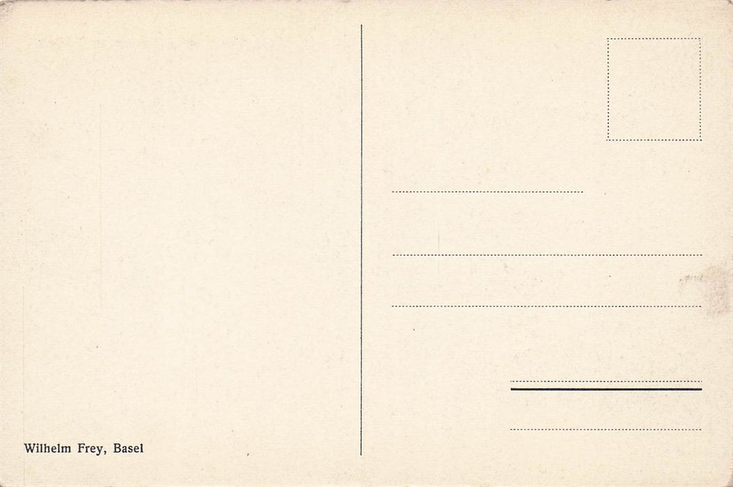 Basel Munster Mit Pfalz