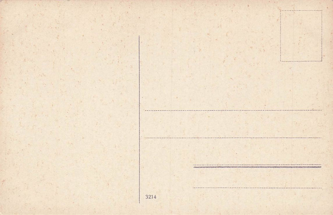 Bern Alte Nydeckbrucke