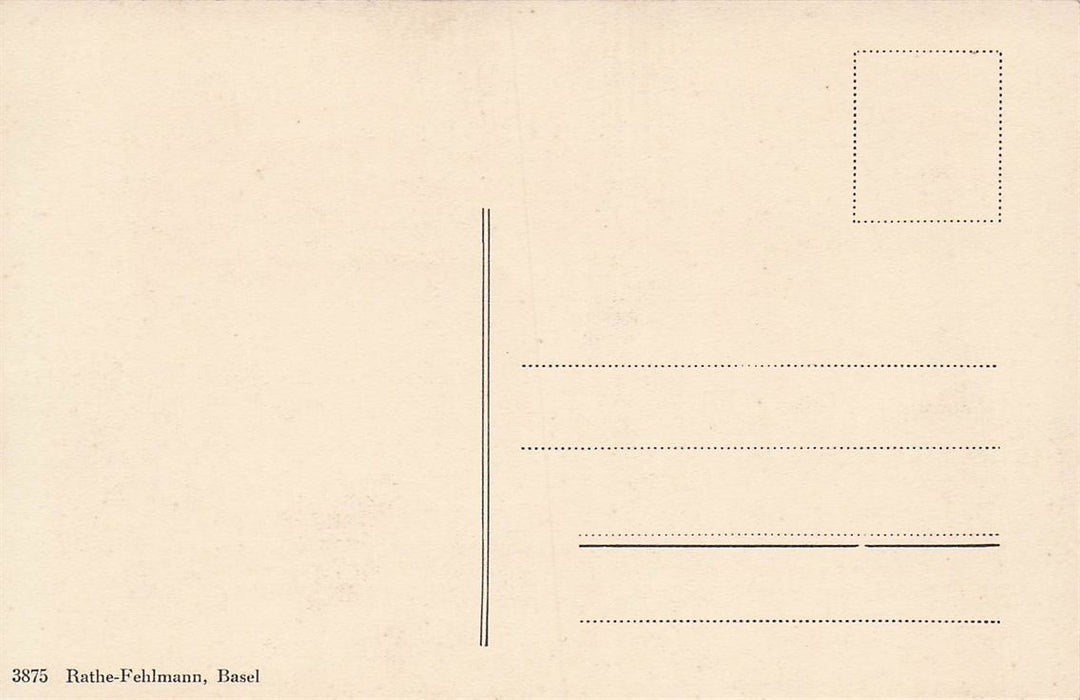 Basel Inneres Vom Münster