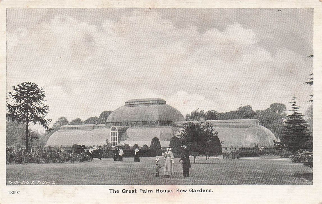 The Great Palm House Kew Gardens