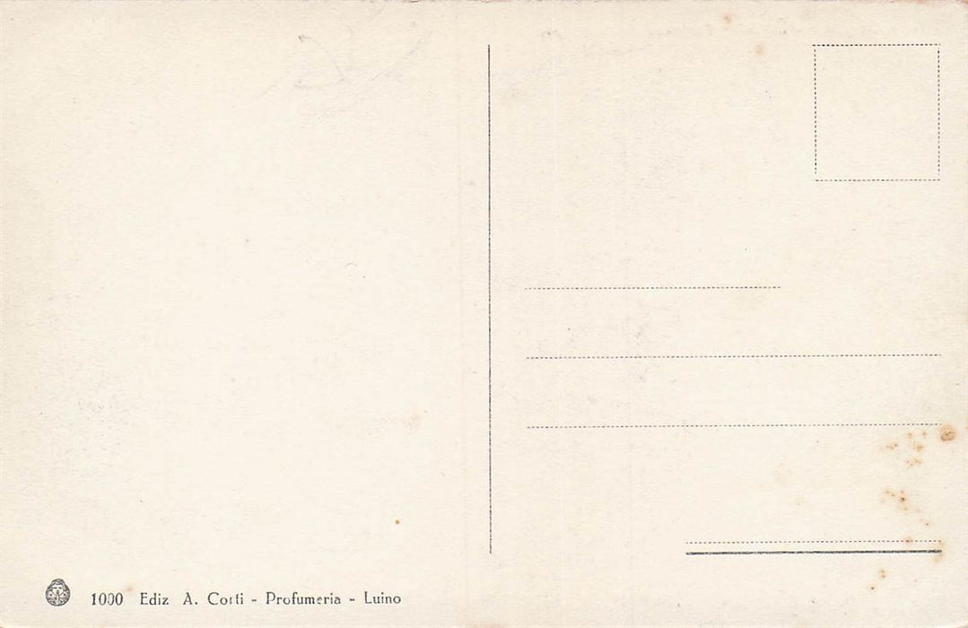 Lago Maggiore Luino Partenza Del Battello