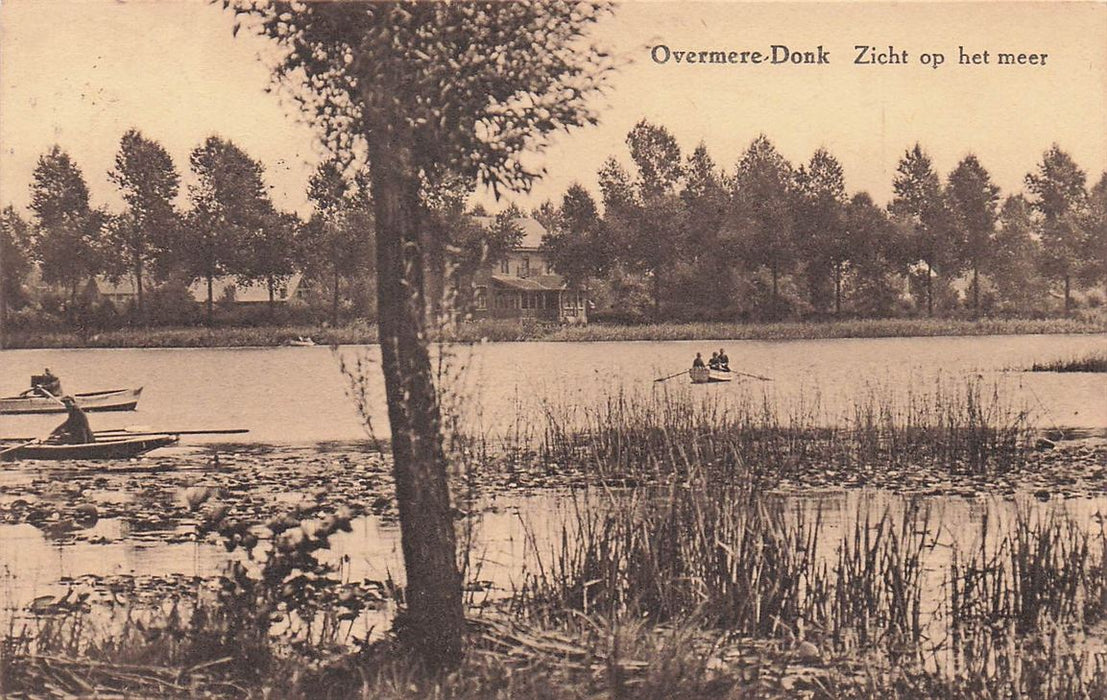 Overmere Donk Zicht Op Het Meer