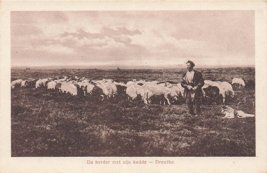 De Herder Met Zijn Kudde Drenthe