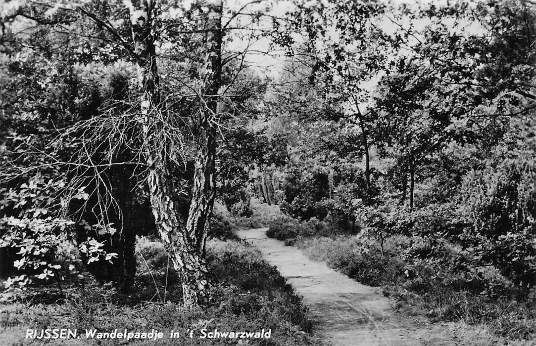 Rijssen Wandelpaadje In 'T Schwarzwald