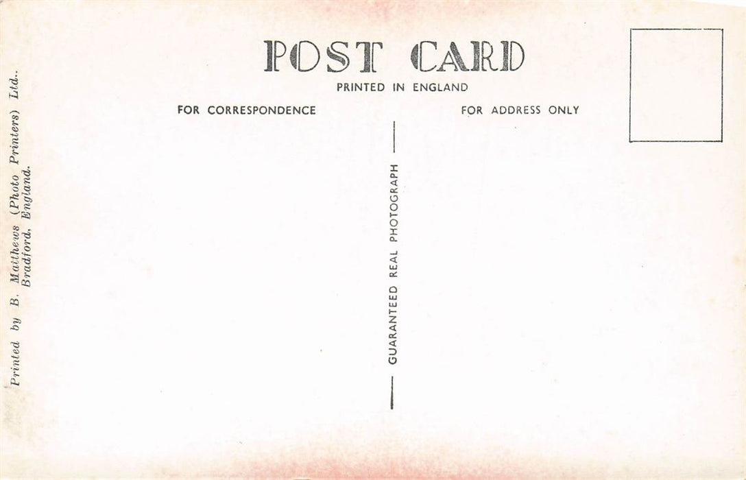 Idealized Landscape Of The London Clay Period