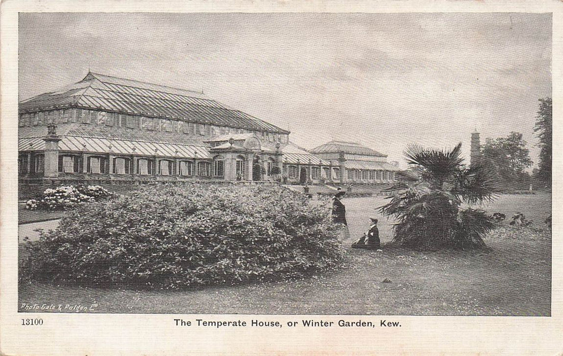 The Temperate House Or Winter Garden Kew