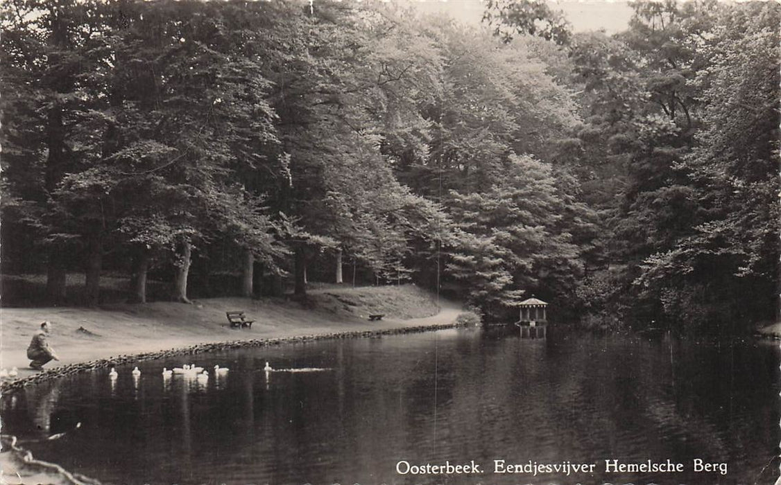 Oosterbeek Eendjesvijver Hemelsche Berg