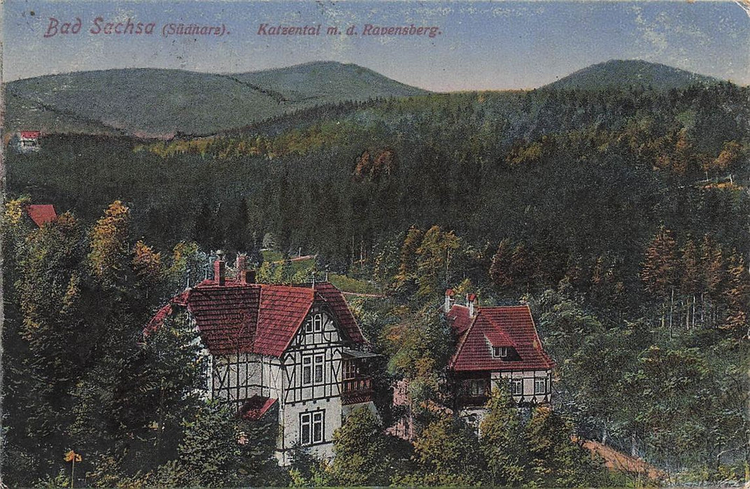 Bad Sachsa (Sudharz) Katzental M D Ravensberg