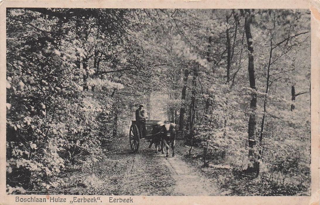 Boschlaan Huize Eerbeek