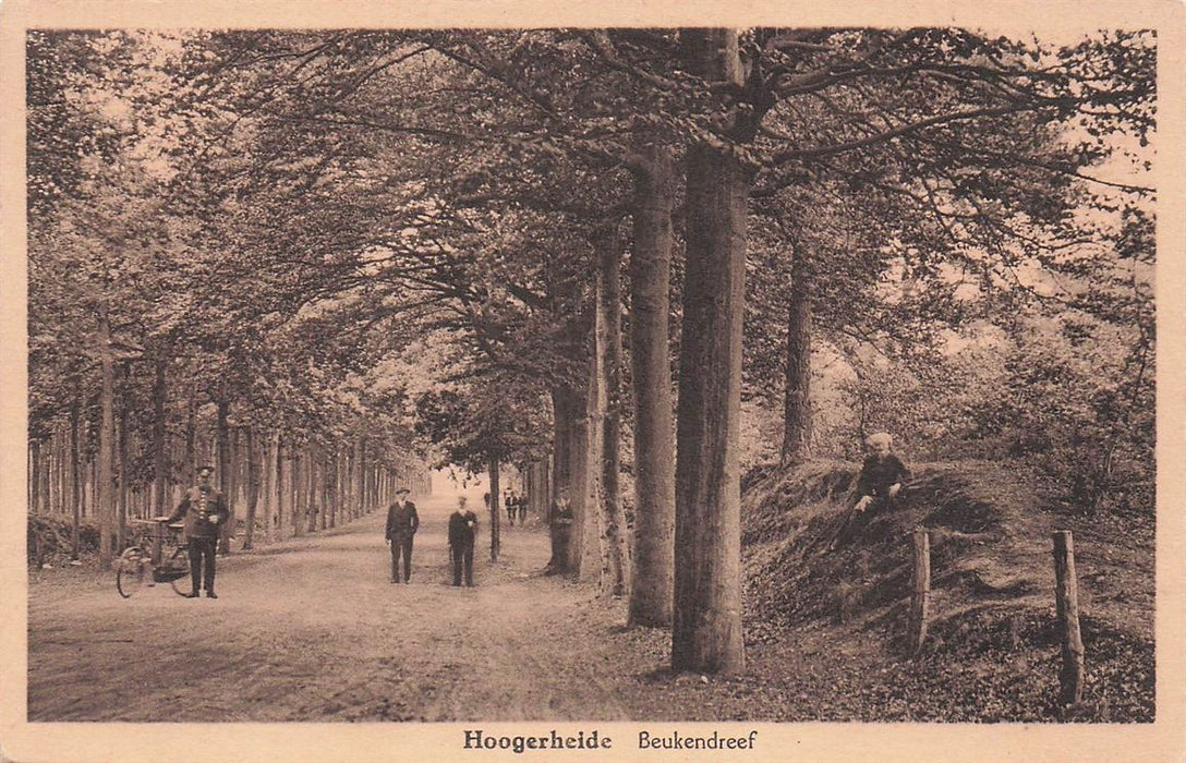 Hoogerheide Beukendreef