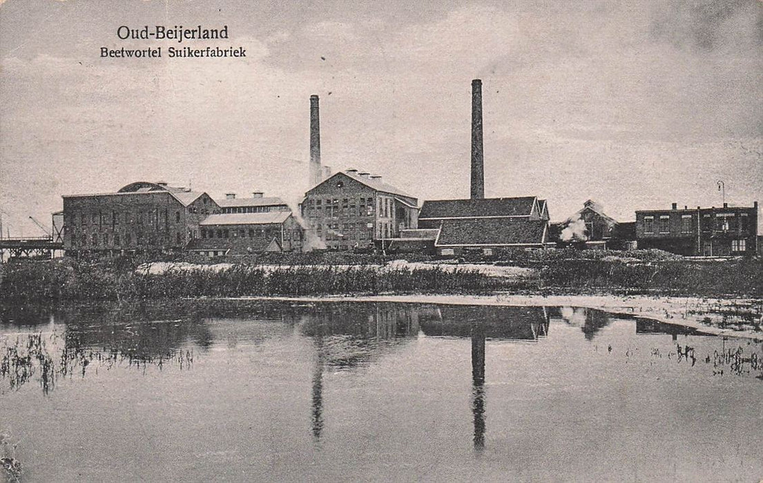 Oud-Beijerland Beetwortel Suikerfabriek