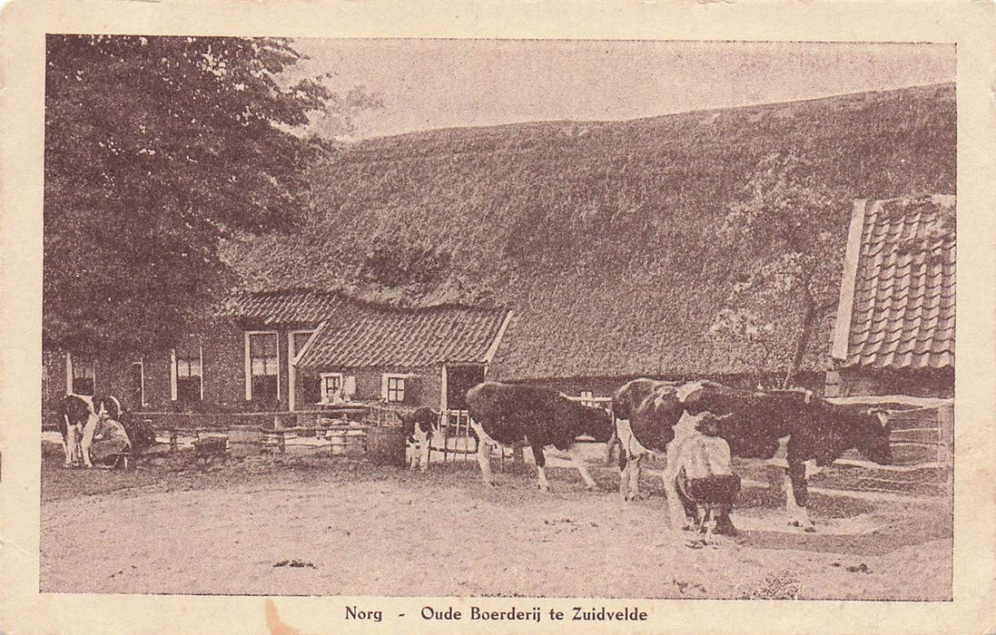 Norg Oude Boerderij Te Zuidvelde