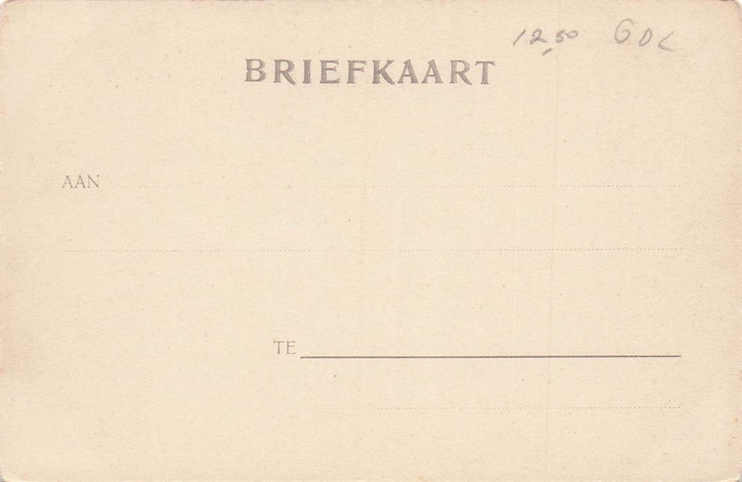 Kasteel Neijenbeek Voorst