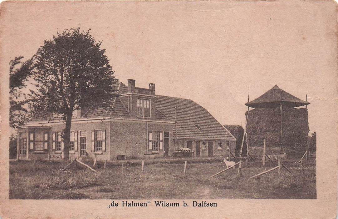 De Halmen Wilsum Bij Dalfsen