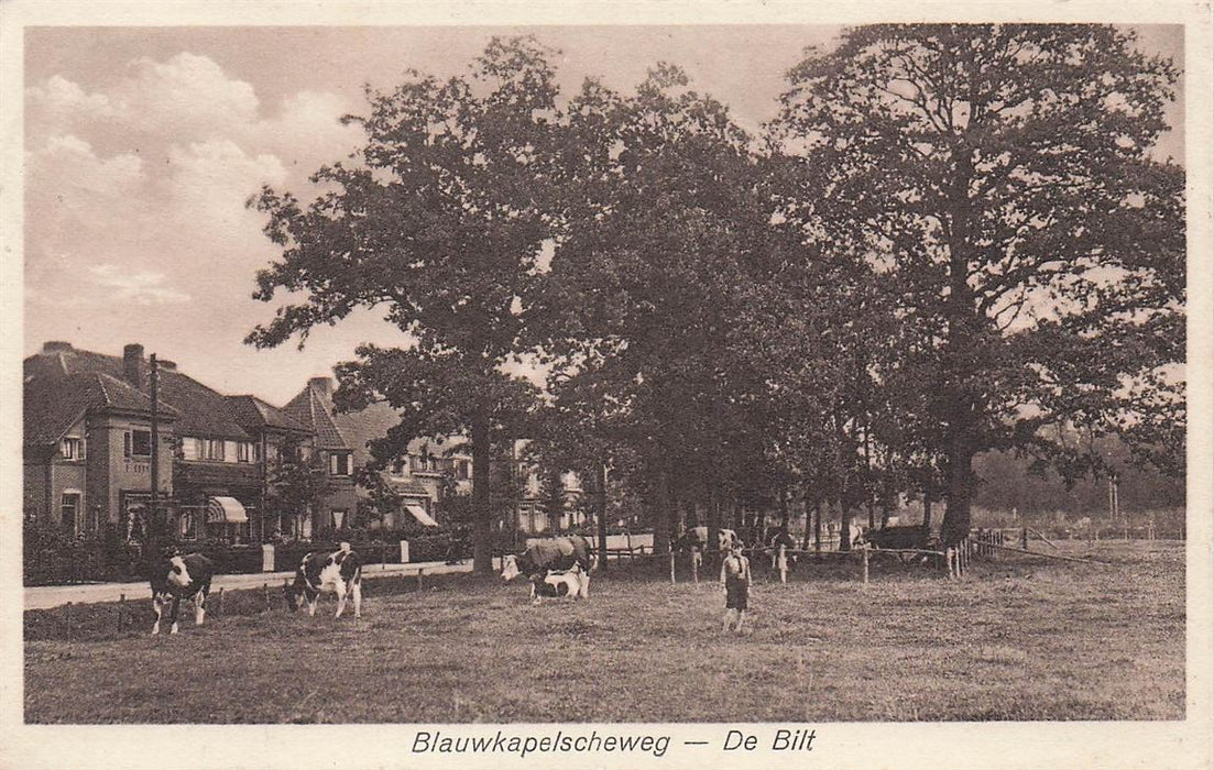 Blauwkapelscheweg De Bilt