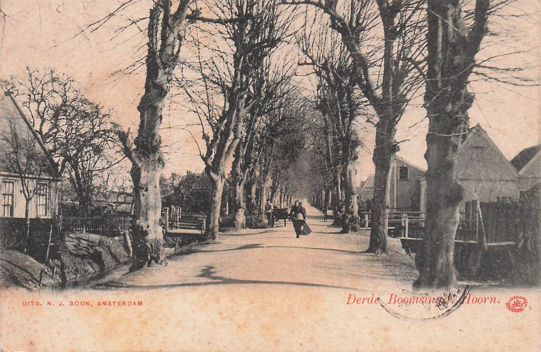 Derde Boomsingel Hoorn