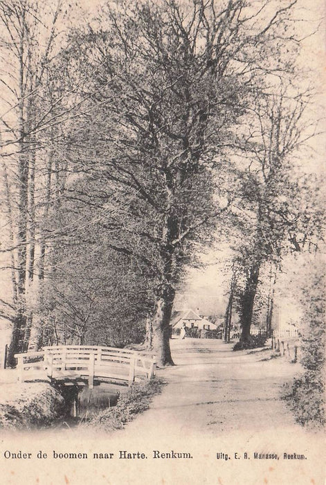 Onder De Boomen Naar Harte Renkum