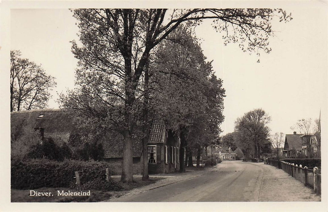 Diever Moleneind