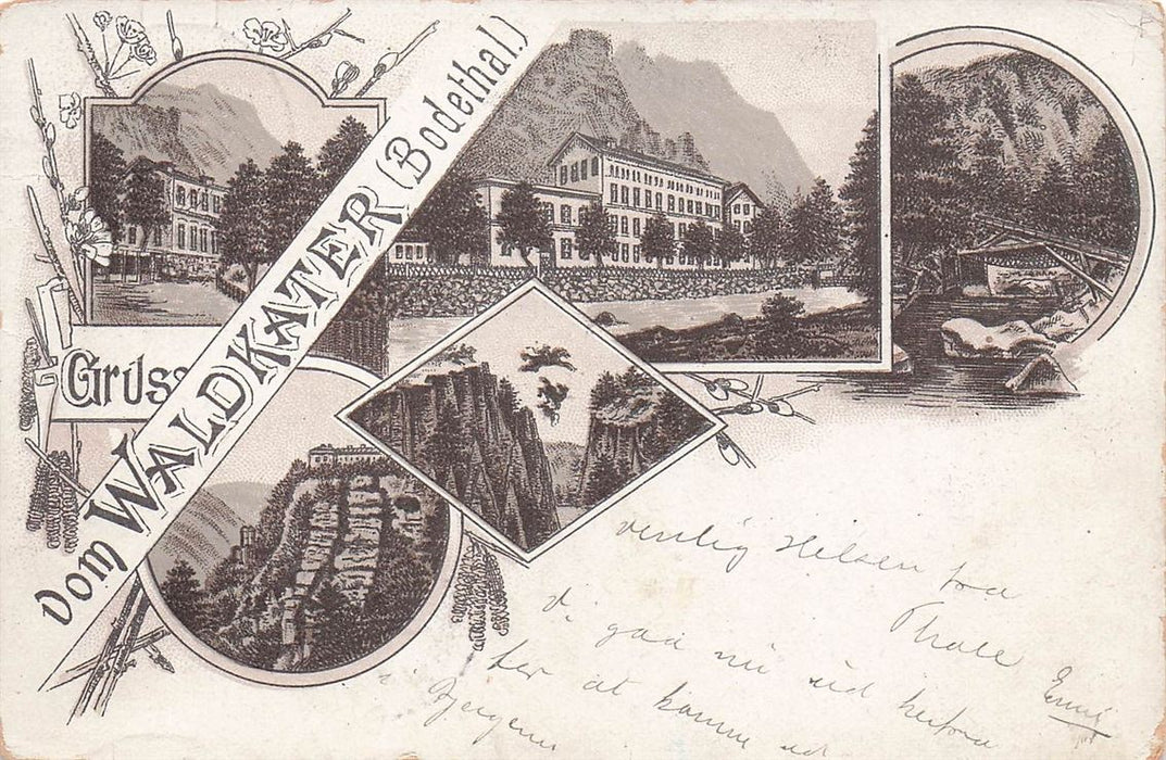 Waldkater (Bodethal)