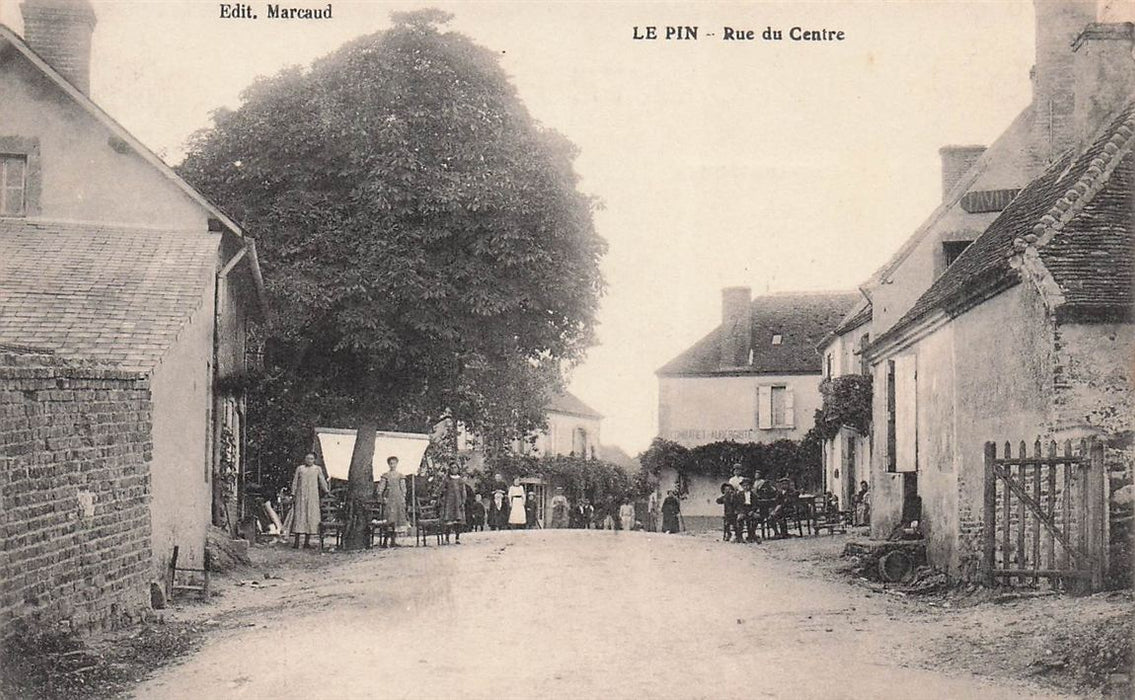 Le Pin Rue Du Centre Allier
