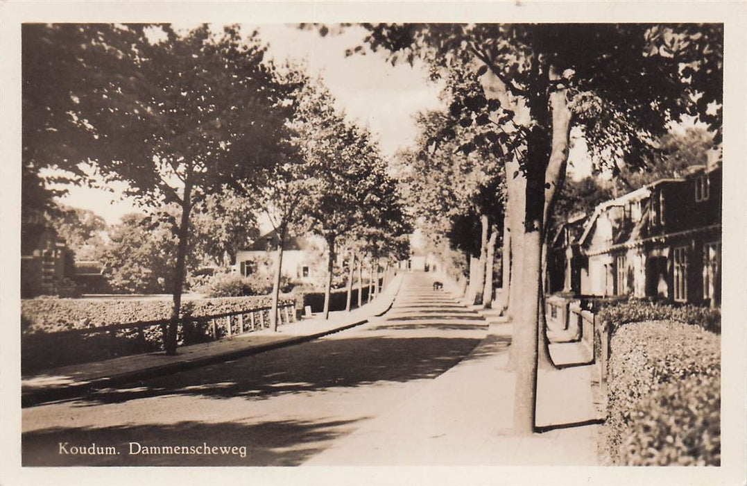 Koudum Dammenscheweg
