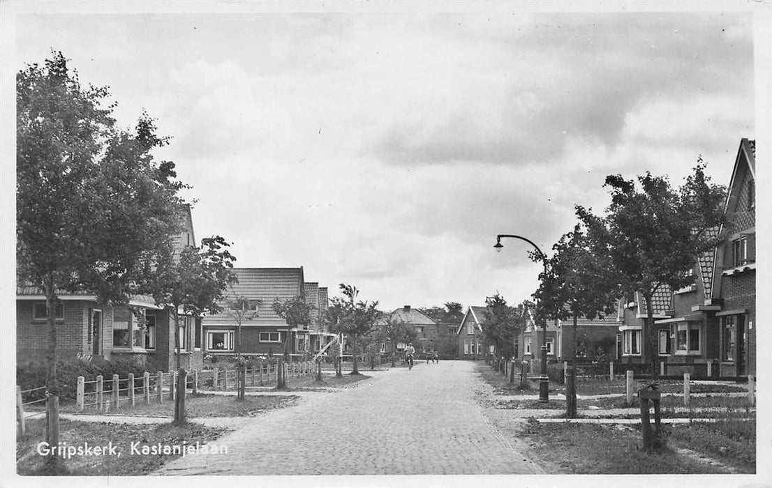 Grijpskerk Kastanjelaan