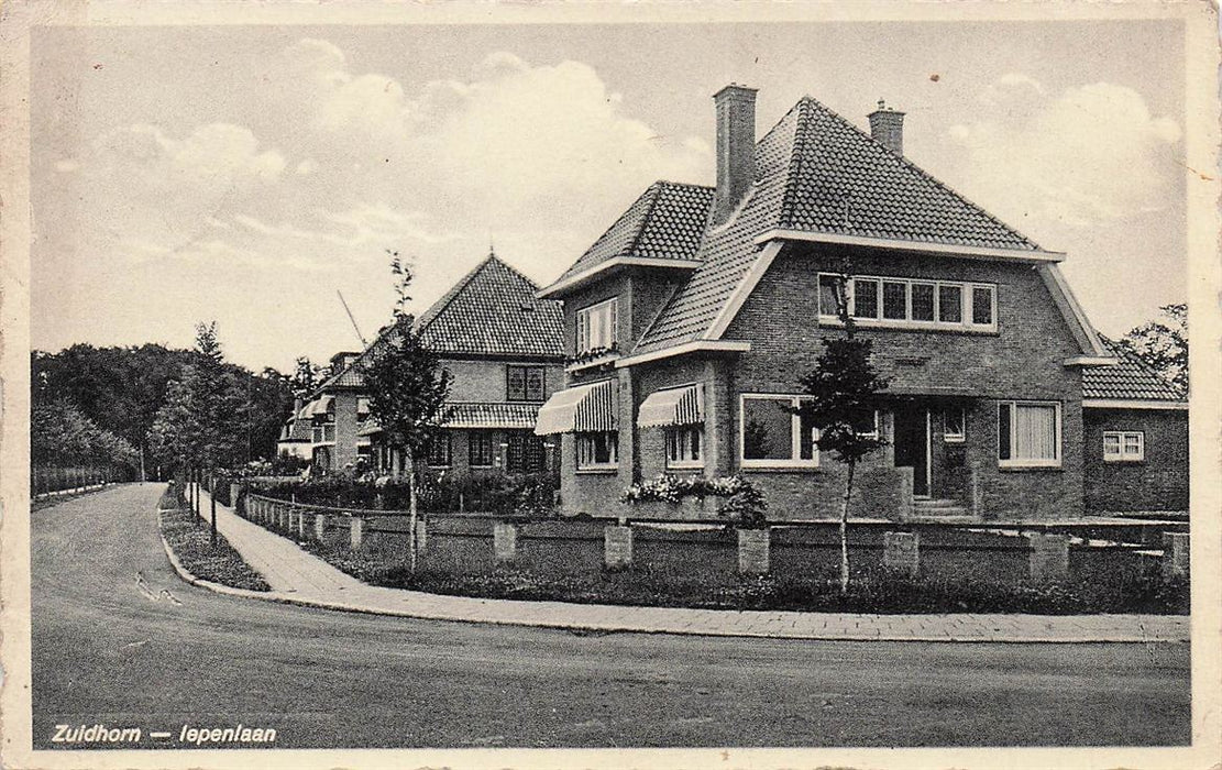 Zuidhorn Iepenlaan