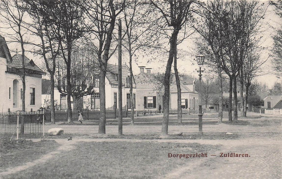 Dorpsgezicht Zuidlaren