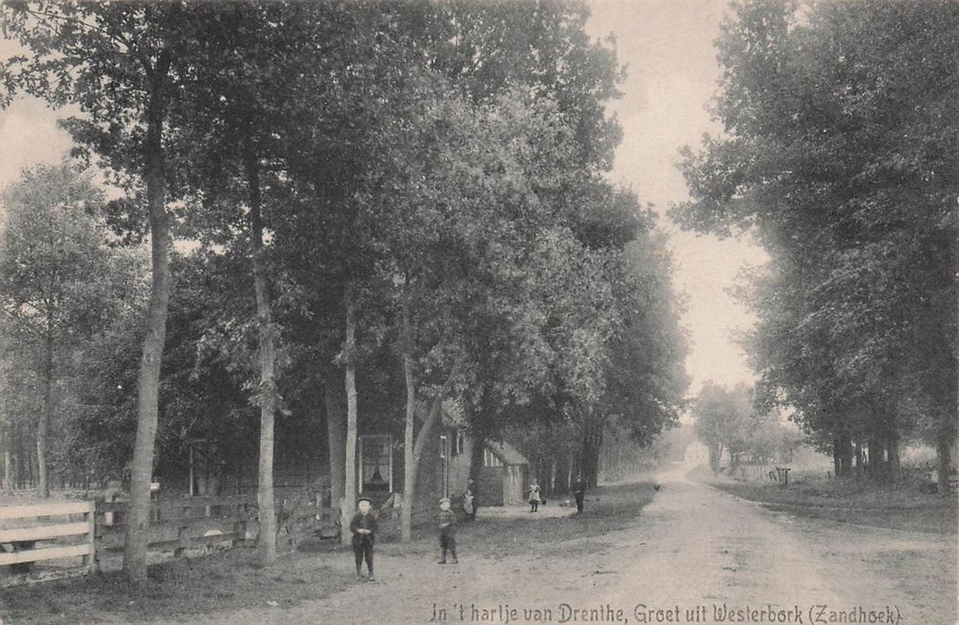 Groet Uit Westerbork (Zandhoek) In 'T Hartje Van Drenthe