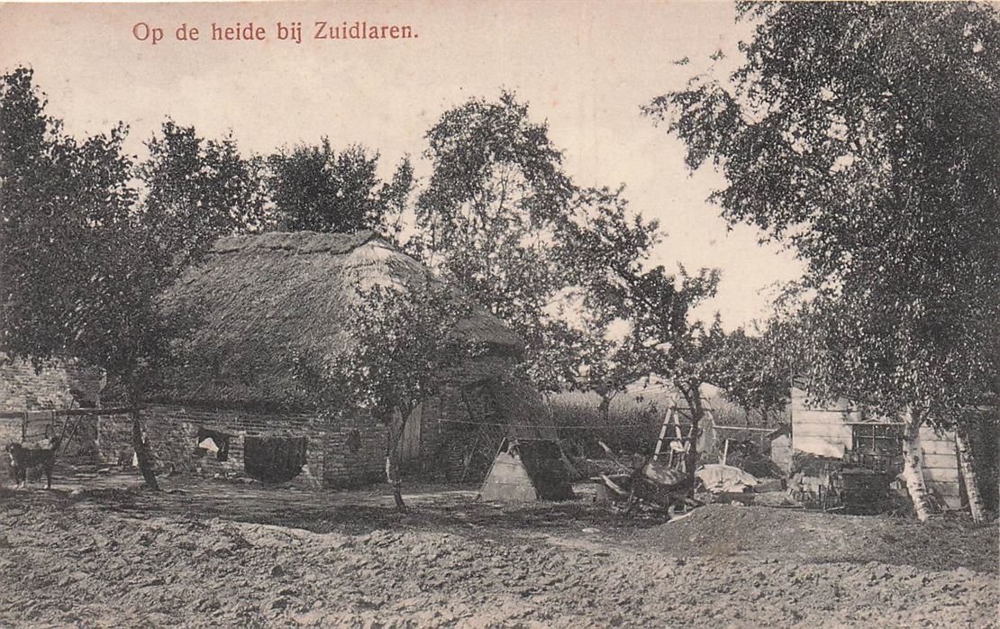 Op De Heide Bij Zuidlaren