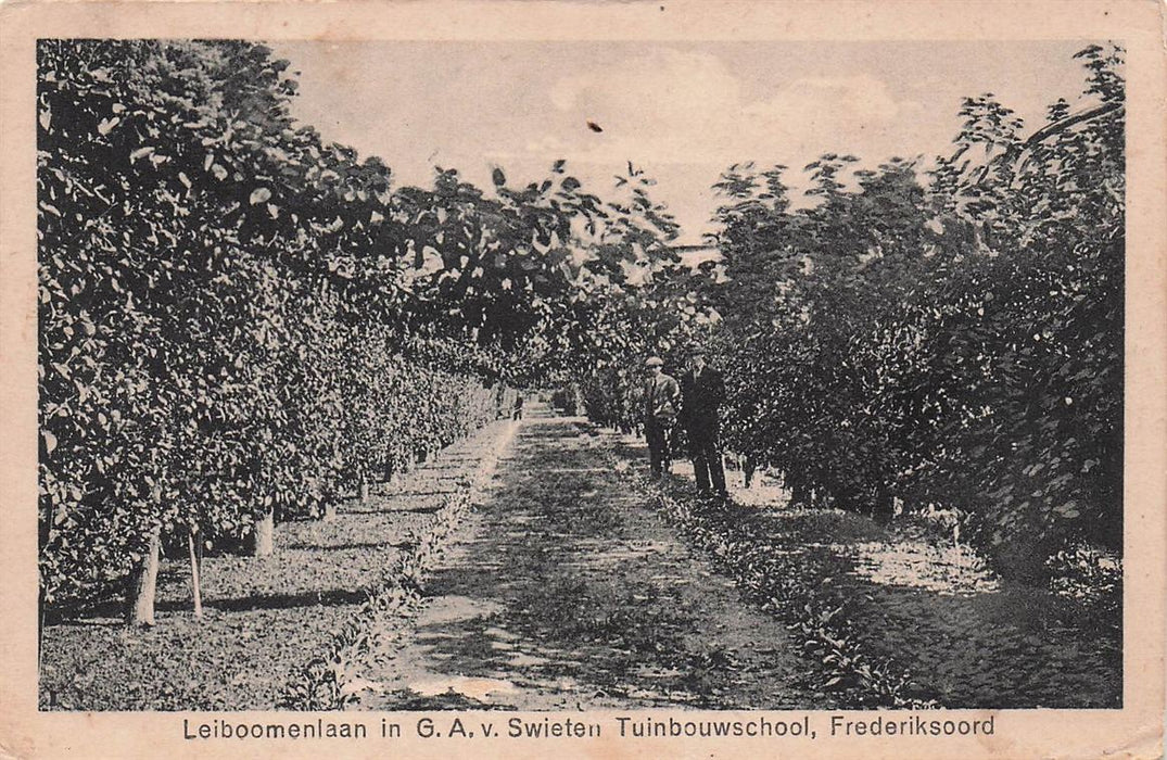Leiboomenlaan Tuinbouwschool Frederiksoord