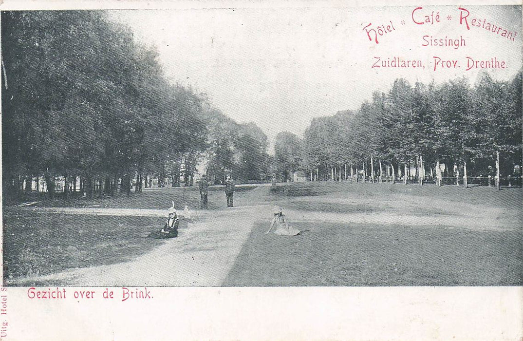 Gezicht Over De Brink Zuidlaren