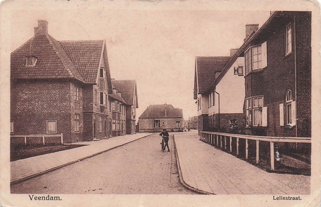 Veendam Leliestraat