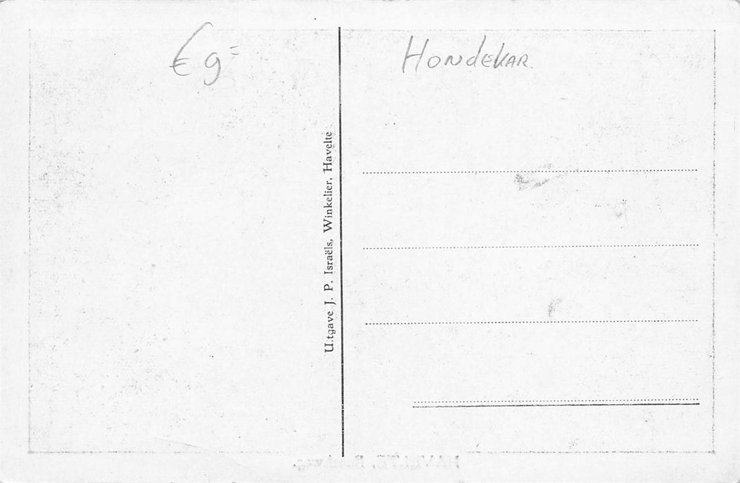 Havelte Boschweg Hondekar