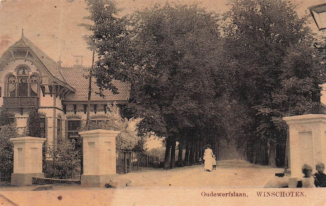 Oudewerfslaan Winschoten