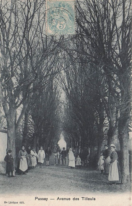 Pussay Avenue Des Tilleuls