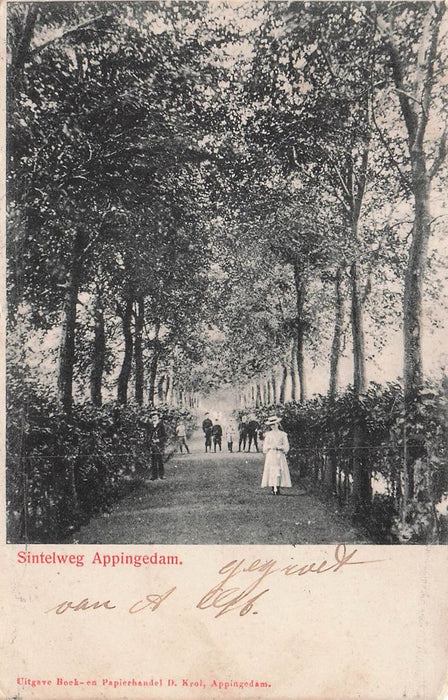 Sintelweg Appingedam