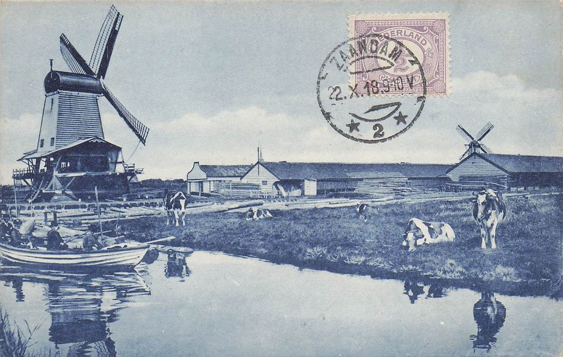 Windmill And Cattle At Zaandam