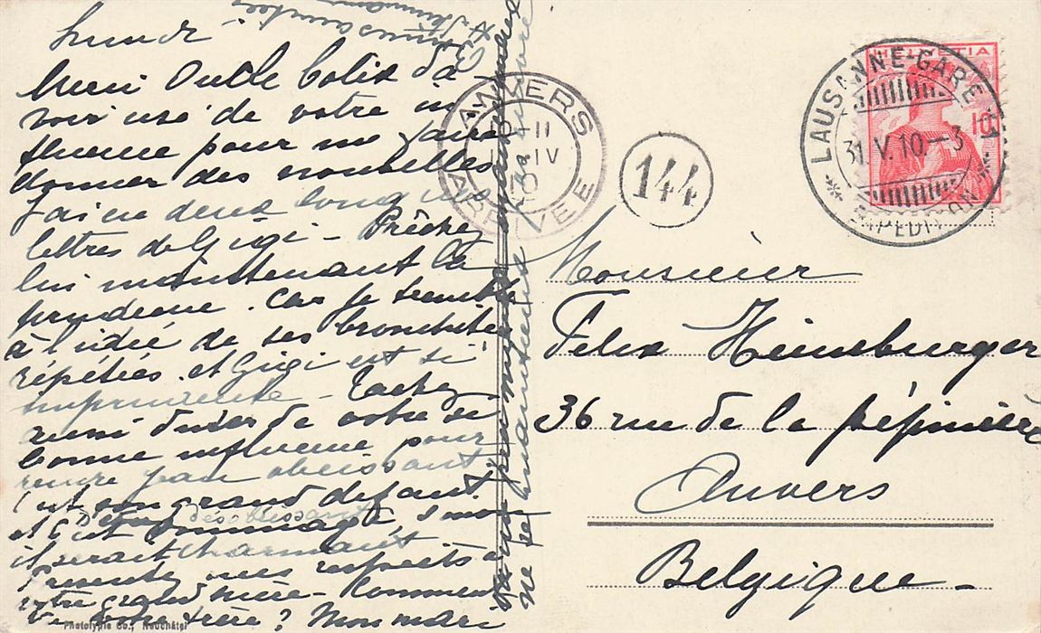 Champ De Narcisses Aux Avants S Montreux