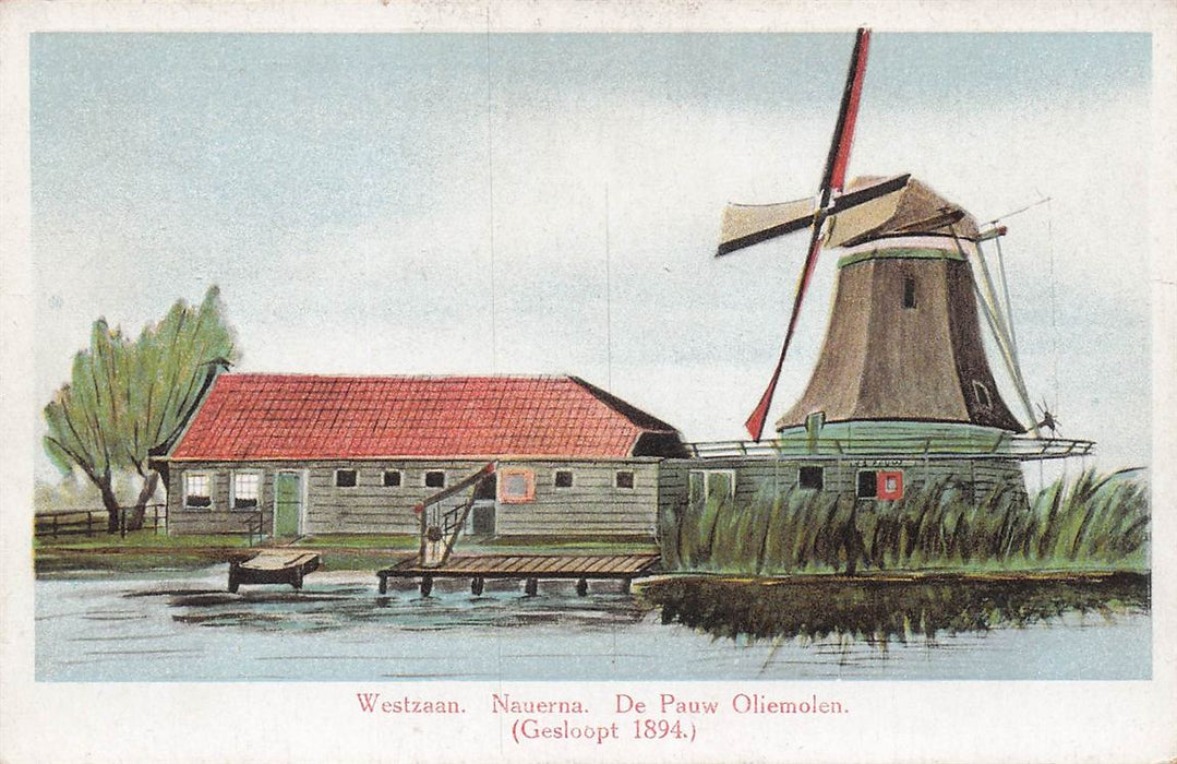 Westzaan Nauerna De Pauw Oliemolen (Gesloopt 1894.)
