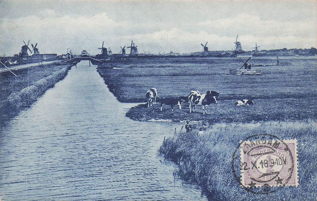Landscape With Windmills And Cattle Near Zaandam
