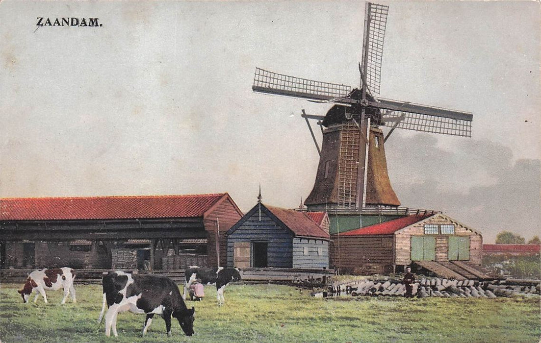 Zaandam