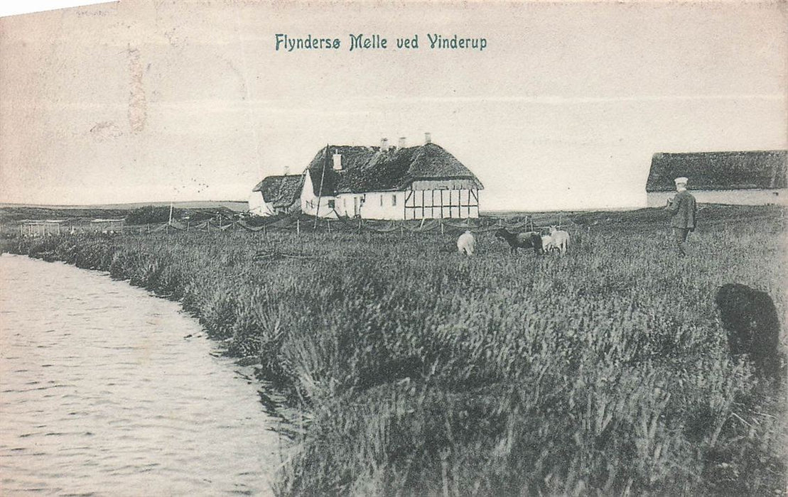 Flynderse Melle Ved Vinderup
