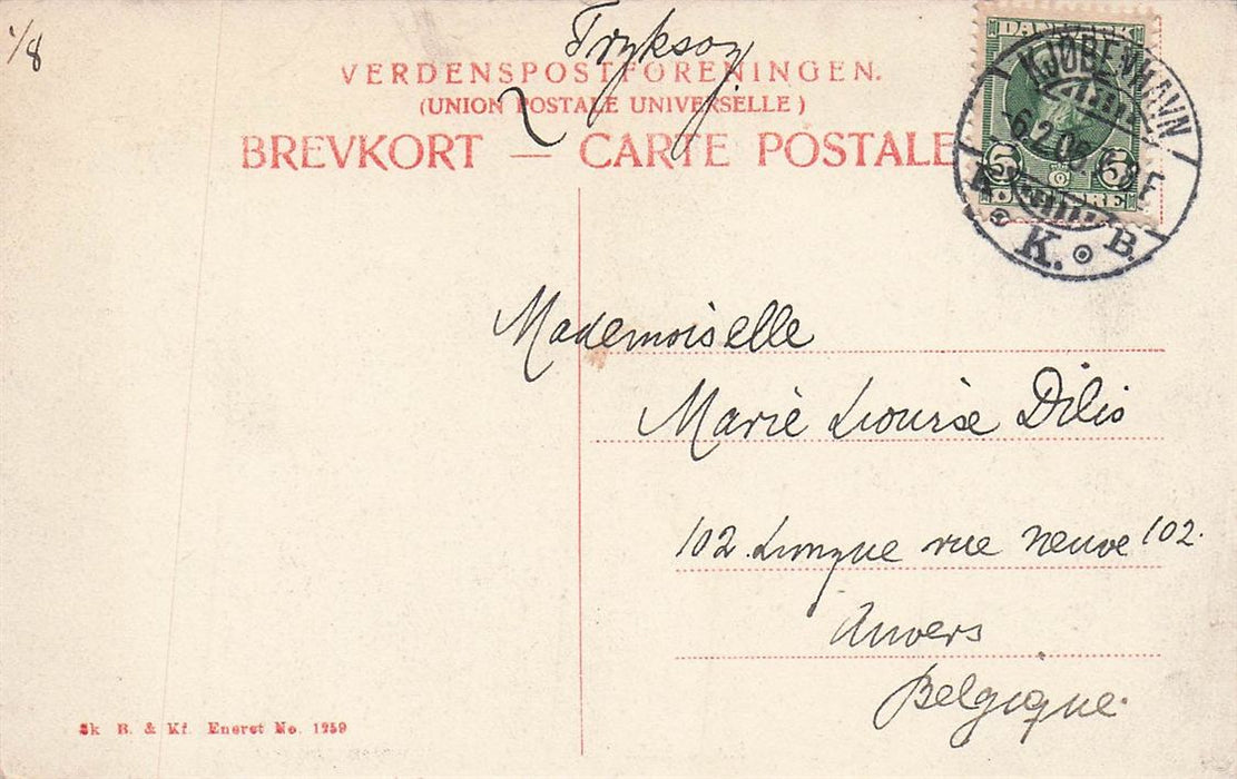 Kobenhavn Storkespringvandet