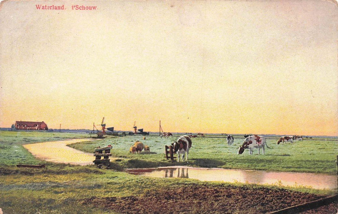 Waterland T'Schouw