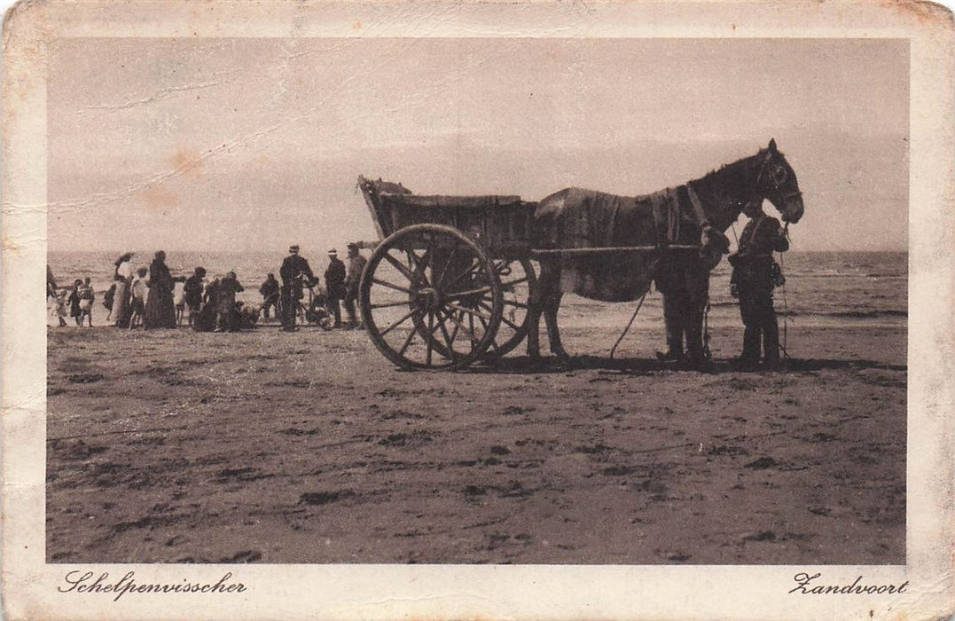Schelpenvisscher Zandvoort