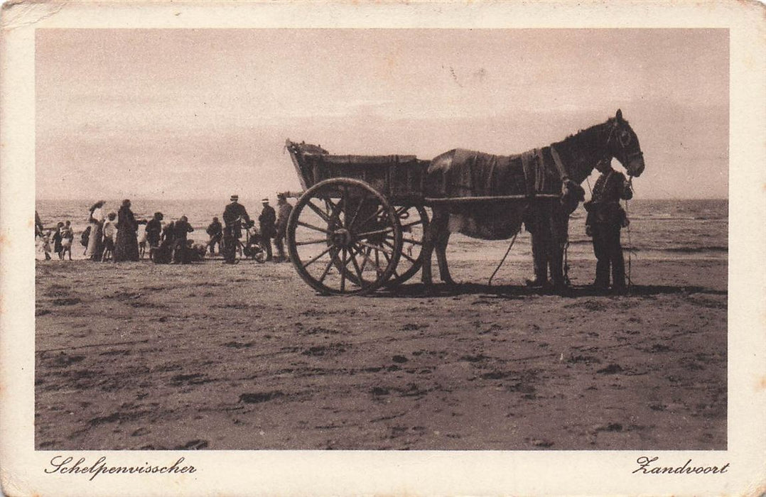 Schelpenvisscher Zandvoort