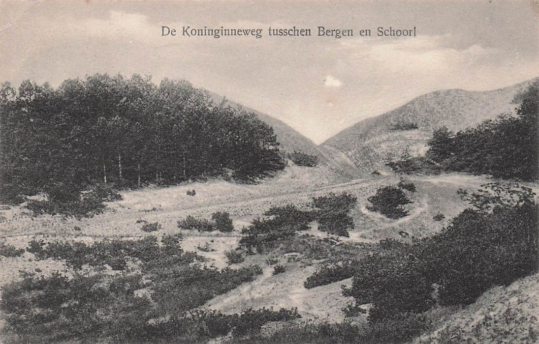 De Koninginneweg Tusschen Bergen En Schoorl